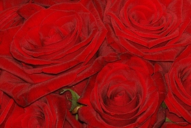 Mittelalterliche Hochzeit 002c