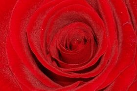 Mittelalterliche Hochzeit 002d